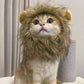 Lion Cat Costume